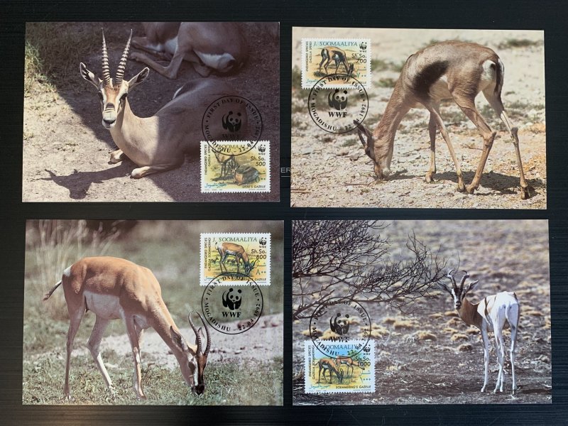 Somalia 1992 WWF Gazelles FDC on maximum cards.  Scott 607-610, CV $21.00