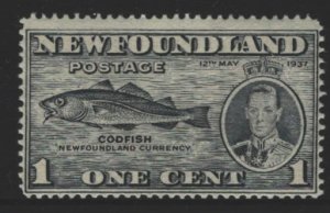 Newfoundland Sc#233 MLH - but perf 14x14