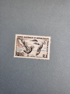 Stamps FSAT Scott #13 nh
