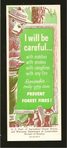 USA 1955 Smokey Bear Minnesota Forest Service Blotter no11 /