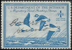 RW15 Used... SCV $12.00