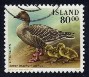 Iceland #687 Pink-footed Goose; Used at Wholesale