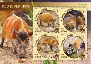 [ 322 31 ]- YEAR 2016 - SIERRA LEONE - RED RIVER HOG        4V   MNH/**