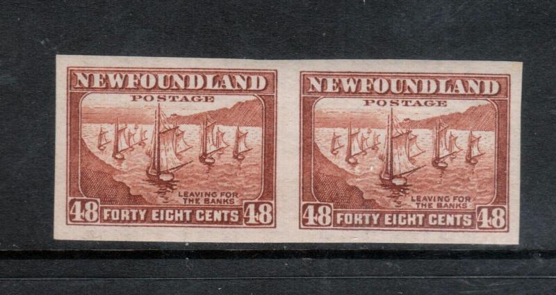 Newfoundland #199a Extra Fine Never Hinged Imperf Pair