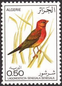 Algeria #563 Red Billed Firefinch MNH