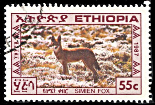 Ethiopia 1184, used, Simien Fox