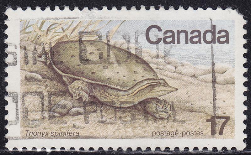 Canada 813 USED 1979 Spiny Soft-Shelled Turtle 17¢