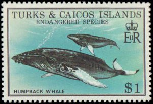 Turks and Caicos Islands #380-384, Complete Set(5), 1979, Turtles, Whales, An...