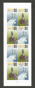 FAROE ISLANDS – 2005- COMPLETE BOOKLET – RABBIT - #455a - w/ FD Cancel