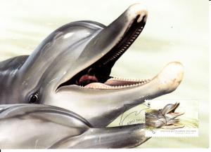 Australia 2009 Maxicard Scott #3077 55c Spotted bottlenose dolphin - World Wi...