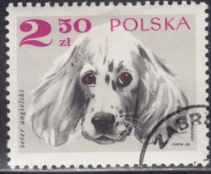 Poland 1640 English Setter 2.50zł 1969