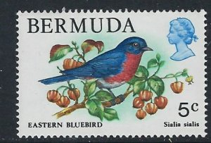 Bermuda 365 MNH 1978 Bird (ak3200)