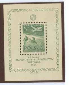 Poland #C34 Mint (NH) Souvenir Sheet