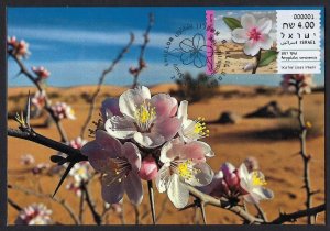 ISRAEL STAMPS 2025 AMYGDALUS RAMONENSIS ATM MACHINE LABEL MAXIMUM CARD FLOWER