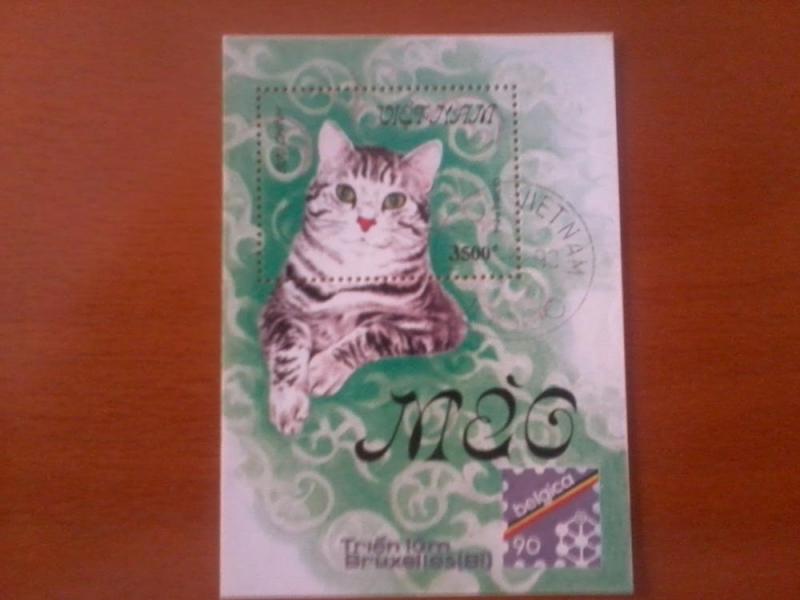 VIETNAM SHEET USED DOMESTIC CATS 