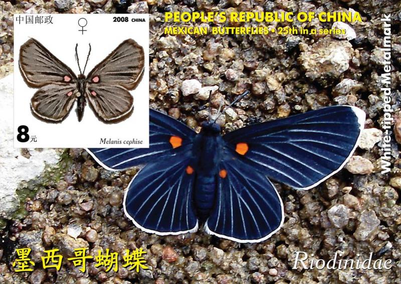 CHINA SHEET IMPERF CINDERELLA BUTTERFLIES INSECTS