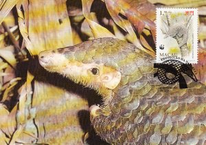 Macao 1995 Maxicard Sc #767 1.50p Chinese pangolin WWF