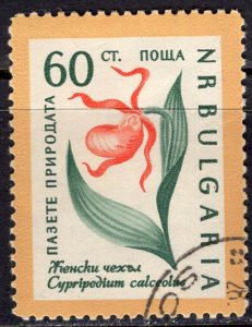 Bulgaria (1960) #1111 (1) used