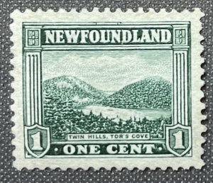 Newfoundland # 131 Used