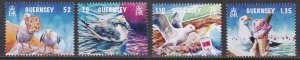 Guernsey, Fauna, Birds, Seagull Mischief, SEPAC MNH / 2022
