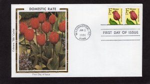 2519 Rate Change F, FDC booklet pair Colorano Silk