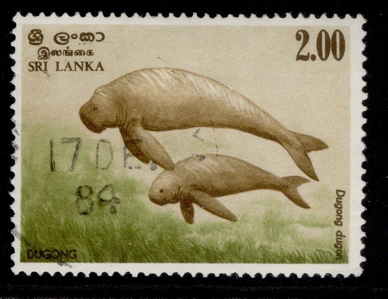 SRI LANKA QEII SG793, 2r marine mammals 1983, FINE USED.