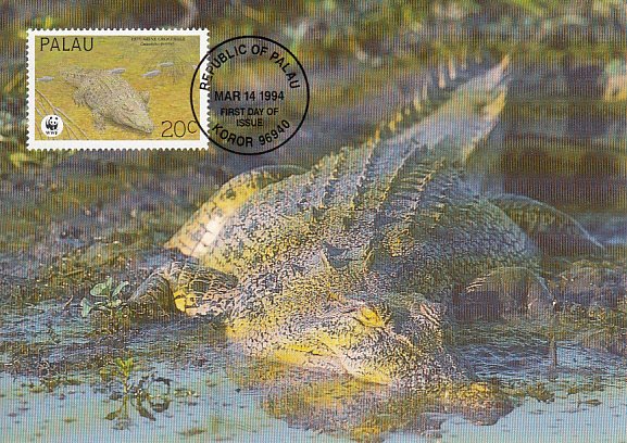 Palau 1994 Maxicard Sc #323c 20c Estuarine crocodile WWF
