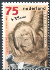 Netherlands Sc# B640 MNH