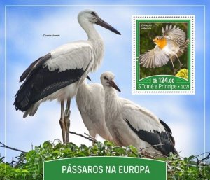 St Thomas - 2021 European Birds, Robin - Stamp Souvenir Sheet - ST210525b