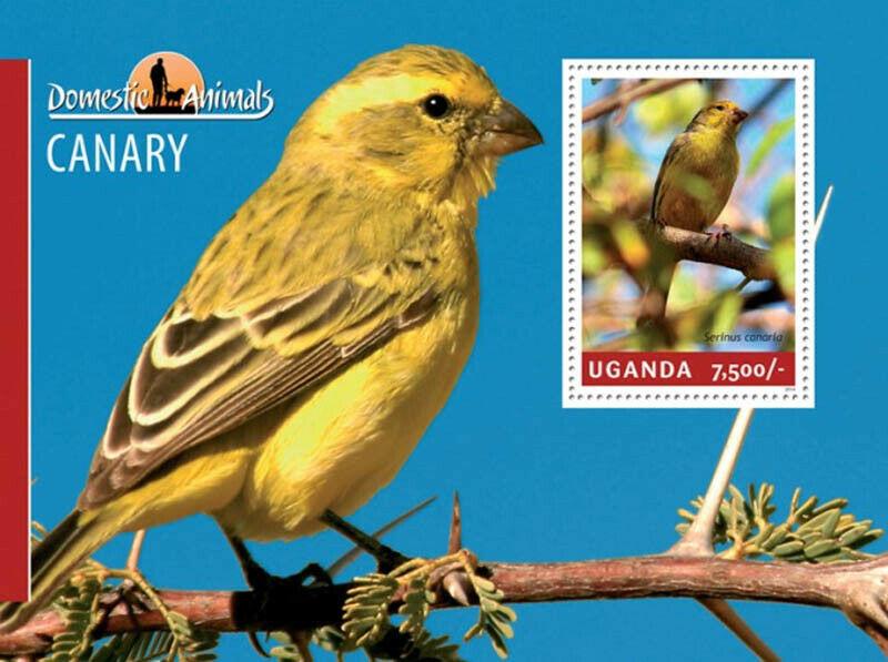 Uganda 2014 Domestic Animals Canary Birds Stamp Souvenir Sheet 21D-138