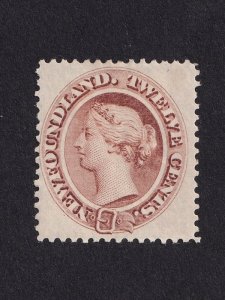 Newfoundland, Scott 29, Mint LHR, QV, VF
