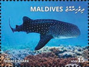 Z08 MLD1801local05a Maldives 2018 Whale Shark MNH ** Postfrisch