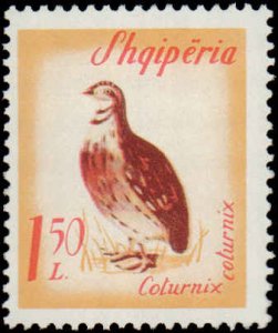 Albania #847-852, Complete Set(6), 1965, Birds, Never Hinged