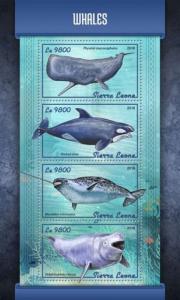 Sierra Leone - 2018 Whales on Stamps - 4 Stamp Sheet - SRL18101a