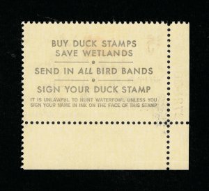 AFFORDABLE GENUINE SCOTT #RW41 VF MINT OG H 1974 FEDERAL DUCK STAMP PLATE 172500