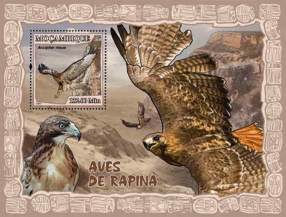 Mozambique - 2007 Birds of Prey  Stamp Souvenir Sheet 13A-021