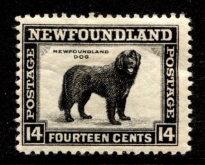 Newfoundland Stamp #194 USED FU SINGLE