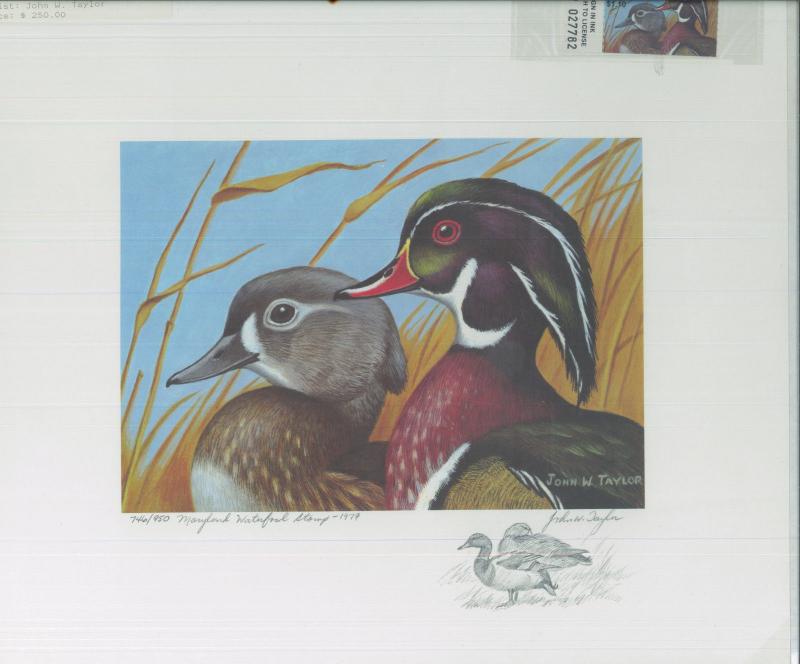 MARYLAND #6 1979 STATE DUCK STAMP PRINT WOOD DUCKS Pencil Remarque John Taylor