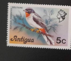 SO) ANTIGUA, BIRD, LONELY BIRD, 5C, MNH