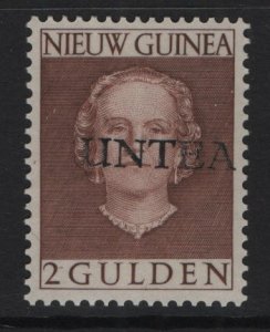 Netherlands  New Guinea  UNTEA #18 MNH 1962  Juliana 2g