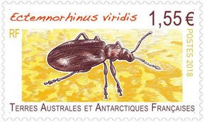 Scott #582 Insect MNH