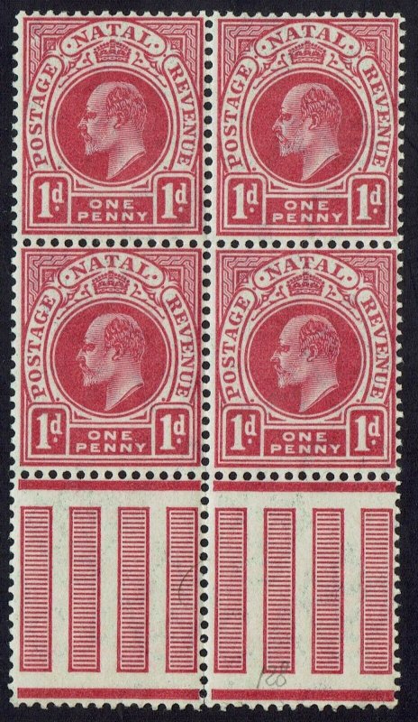 NATAL 1904 KEVII 1D MNH  ** BLOCK WMK MULTI CROWN CA 