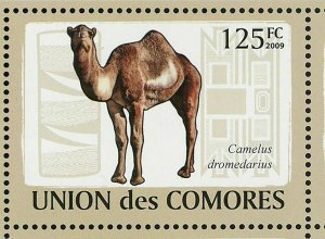 Camels Stamp Camelus Dromedarius Camelus Bactrianus S/S MNH #2128-2133 