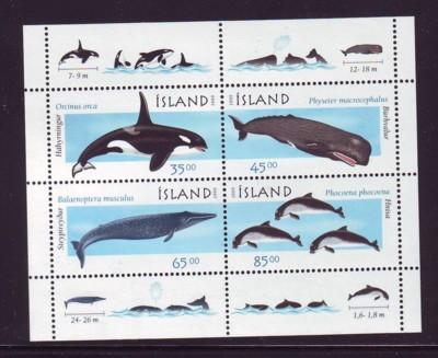 Iceland Sc 876a 1999 Marine Mammals stamp sheet mint NH