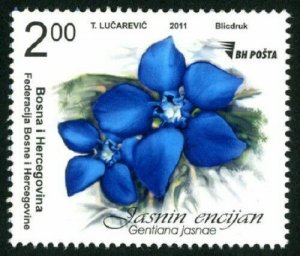 BOSNIA & HERZEGOVINA / 2011, FLORA - Jasna's Gentian, MNH 