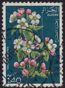Algeria - 1978 - Scott #610 - used - Apple Tree