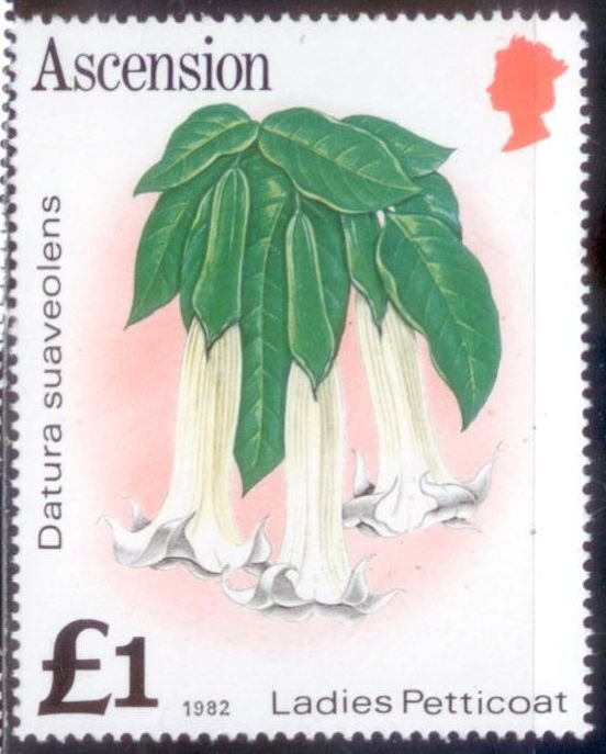 Ascension 1982 SC# 287 Flowers MNH-OG L2716