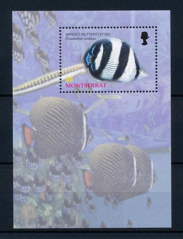 [40598] Montserrat 2004 Marine Life Fish MNH Sheet