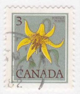 783 wild flower - 13 perf