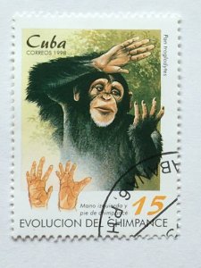 Cuba- 1998 – Single “Mammal” Stamp –SC# 3919 – CTO